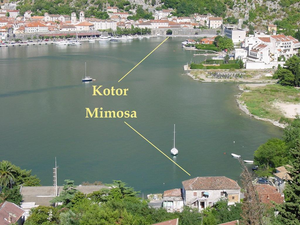 Apartment Mimosa Котор Номер фото